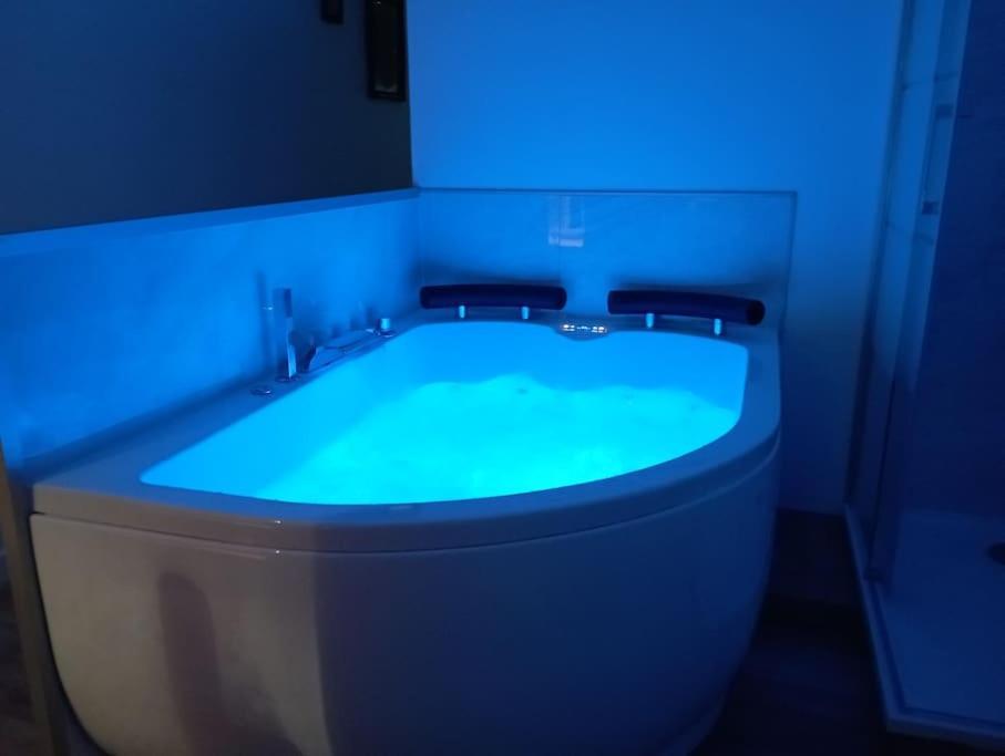 Sejour Sauna Et Jacuzzi Cocon La Roche-sur-Yon Exterior foto